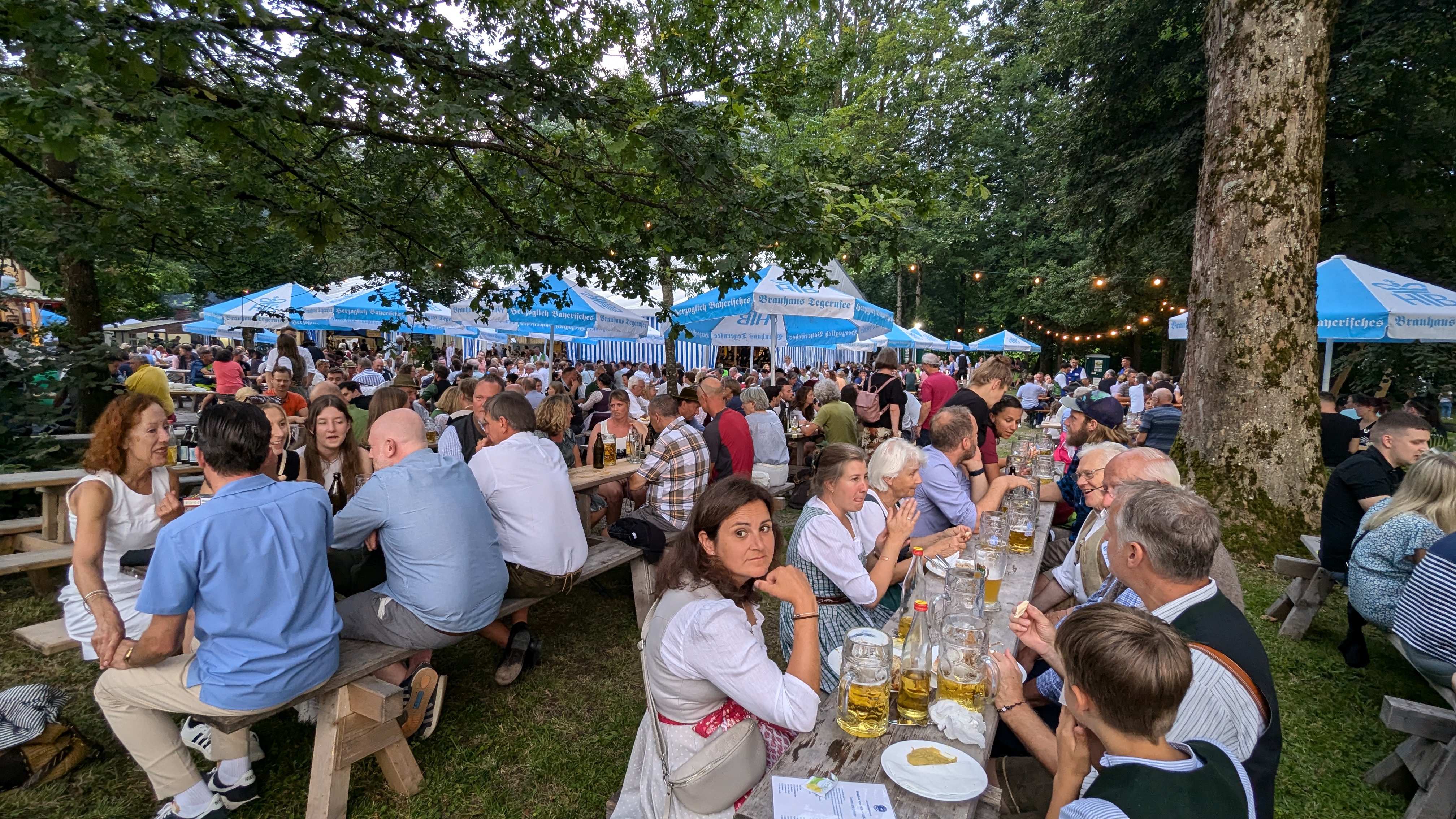 Der Skiclub Schliersee lädt zum 55. Waldfest