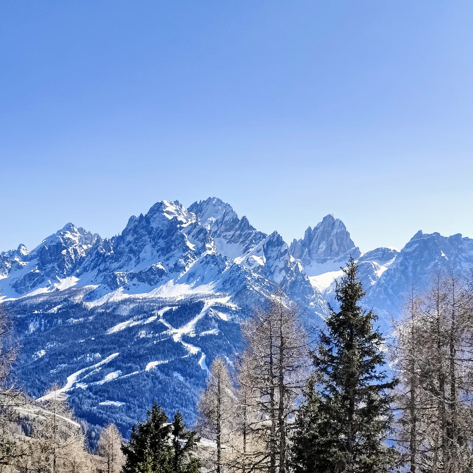 skiclubausflug2025b